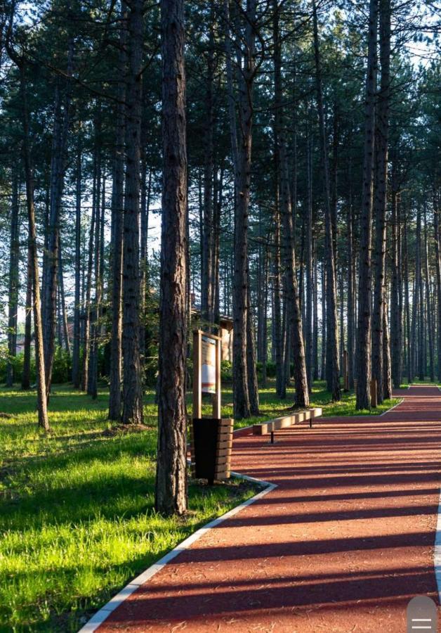 Apartman Pavle Златибор Екстер'єр фото